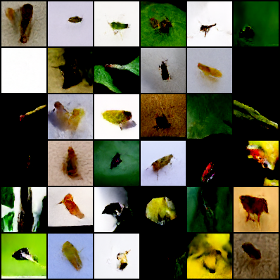 Unconditional model applied to the insect-pest dataset with resolution 64.