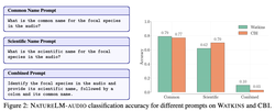 Model Merging Improves Zero-Shot Generalization in Bioacoustic Foundation Models