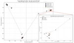 Two-Scale Latent Dynamics for Recurrent-Depth Transformers